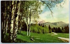 Postcard - Pines & Aspen Mountain, Nature's Wonderland - Rolla, Missouri picture
