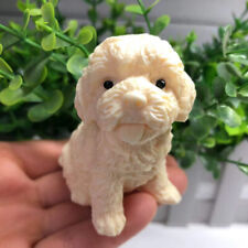 1pcs /  Genuine Tagua Nut Carved Dog reiki decoration gift . picture