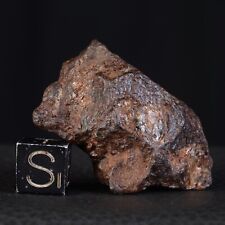 Meteorite Nwa 15738 Of 39,55 G - Pallasite Individual #C46.04-7 picture