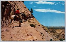 Zion National Park Utah Ut West Rim Trail Natural Color Mike Roberts Pm Postcard picture