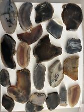 really old yellowstone Montana Moss  & Banded Agate Slab Lot slabs g picture