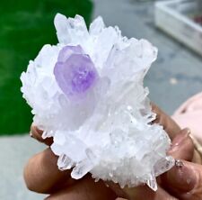 153G Natural Transparent Chrysanthemum crystal Cluster with Amethyst Specimen picture