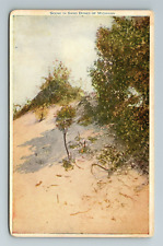 MI-Michigan, Scene In Sand Dunes, Scenic Nature View, Vintage Postcard picture