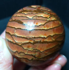 TOP 246G Natural Polished Wood Grain Stone Crystal Sphere Ball Healing BWD762 picture