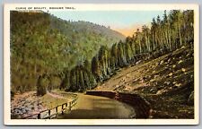 Curve Beauty Mohawk Trail Forest Country Road Mountains Whitcomb Summit Postcard picture