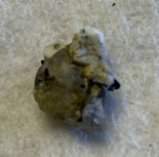 Ultra Rare Crystal Zektzerite Mineral Specimen Genuine Washington Pass Gemstone picture