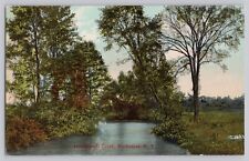 Postcard Rochester New York NY Irondequoit Creek c1909 picture
