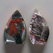 Lot of 2 Polished Crystal African Blood Stone & Agate Flames picture
