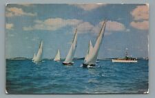Weekly Sail Boat Races at Provincetown MA Yachtsmen Seamen Vintage Postcard picture