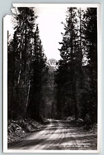 1930s YELLOWSTONE PARK LUCIER POWELL WY CODY ROAD REAL PHOTOGRAPH Z4623 picture