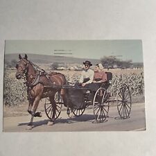 Amish Courting Buggy Dutch Country Traditional Dress Pennsylvania PA Postcard picture