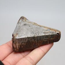 157g Muonionalusta meteorite part slice  A2083 picture