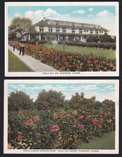 2-Florida-FL-Davenport-Holly Hill Inn & Groves-Vintage Postcards Lot picture
