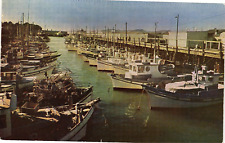 Fisherman's Wharf San Francisco California Unposted Chrome Postcard c1950s picture