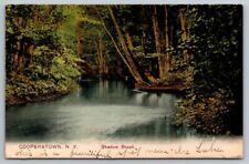 Vintage New York Postcard - Shadow Brook  Cooperstown   1909 picture