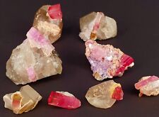 8 Pieces Perfect Pink Tourmaline  Natural Crystals Specimen 160gm @  Afghanistan picture