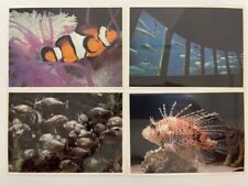 San Francisco CA Steinhart Aquarium Fish Aquatic Vintage Nature Co Postcard LOT  picture