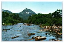 Postcard Pulp Drive on Sourdnahunk Stream, Maine 1980 F9 picture