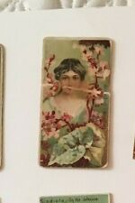 1892 N75 Duke's Cigarettes Floral Beauties - Begonia picture