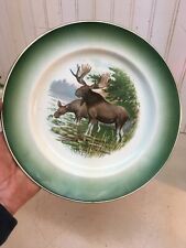 Vintage Buffalo China Plate Wild Game Mule Dear Moose 9in Diner Plate picture