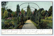1909 John Sloanes Garden Flower View Lenox Pittsfield Massachusetts MA Postcard picture