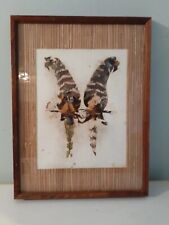Vintage 70s African Made Butterfly Wing Art Parrots 13