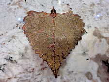 Copper Dipped Aspen Leaf Ornament picture