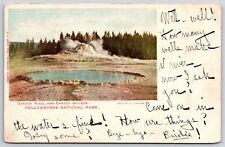 Castle Well Geyser Yellowstone National Park Forest Trees Sightseeing Postcard picture
