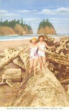 Olympic National Park, Washington Bathing Beauties Beach c1940s Vintage Postcard picture