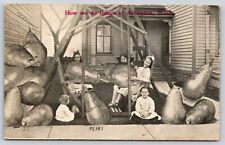 Postcard How We Do Things at Arlington Washington Pears Exaggeration Children picture