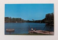 Illinois Postcard - Twin Lakes Pier Scene Paris IL Vintage Unposted picture