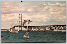 Mackinac Bridge Michigan Sea Gulls Birds Animals Peninsula Vintage UNP Postcard picture