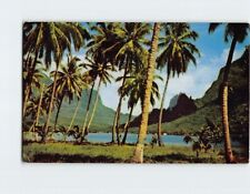 Postcard Moorea Bay Tahiti French Polynesia picture