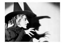 RARE Wizard of Oz Promo PHOTO Wicked Witch of the West, Margaret Hamilton picture