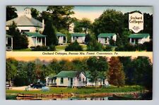 Canadensis PA-Pennsylvania, Orchard Cottages, Advertising, Vintage Postcard picture