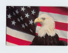 Postcard American Flag & American Eagle picture