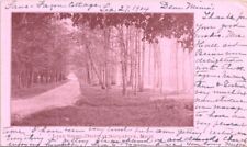 1904, Lake Shore Drive, SAUGATUCK, Michigan Postcard picture