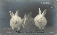 Rotograph RPPC B-1707 Bunny Rabbits 