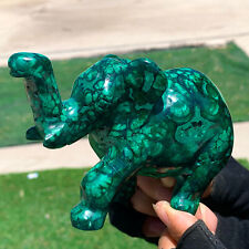 1.21LB Natural glossy Malachite Crystal  Handcarved elephant mineral sample picture