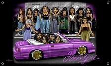 David Gonzales Art Chicano  Lowrider Homies Homie Girl  Banner  picture