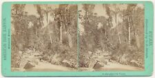UTAH SV - American Fork Canyon - Trout Stream - CR Savage 1870s picture