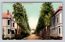 Los Angeles CA-California, Palm Drive on Adams Street, Antique Vintage Postcard picture