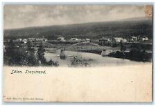 c1905 Bridge Transtrand Malung-Sälen Dalarna Sweden Antique Postcard picture