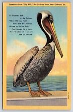 Postcard New Orleans LA Greeting Big Bill the Pelican Curt Teich c1934 picture