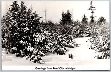 Vtg Reed City Michigan MI Typical Winter Day Snow RPPC Real Photo Postcard picture