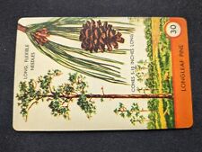 1962 Ed-U-Cards Tree Spotter Game Card  # 30 Long Leaf Pine (NM) picture