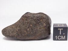 23.17 g NWA x Chondrite Meteorite picture