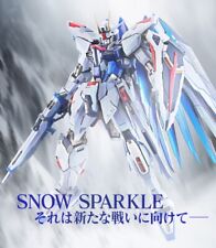 BANDAI Metal Build Freedom GUNDAM SEED Figure CONCEPT 2 SNOW SPARKLE Ver. F/S picture