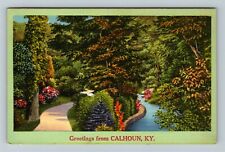 Calhoun, KY-Kentucky, Greetings River Forest Path,  c1964 Vintage Postcard picture