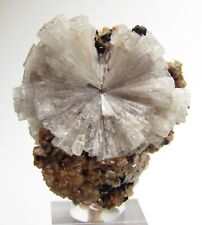RARE DELICATE AESTHETIC RADIAL SPRAY LEIFITE CRYSTALMONT-SAINT-HILAIRE CANADA picture
